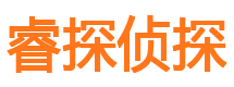 九龙市私家侦探